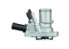 TI 144 88 MAHLE ORIGINAL Термостат