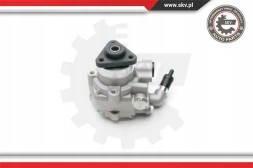ESEN SKV 10SKV194 Насос гідропідсилювача 10skv194 esen skv