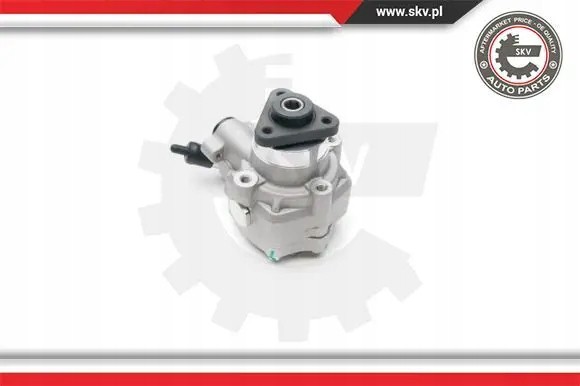 ESEN SKV 10SKV194 Насос гідропідсилювача 10skv194 esen skv
