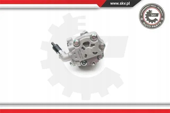 ESEN SKV 10SKV194 Насос гідропідсилювача 10skv194 esen skv