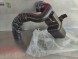 Opel OE KOREKT 20987238 22737397 20792675 20792675 REZONATOR POWIETRZA 2.2 CDTI ANTARA CHEVROLET CAPTIVA MOKKA РЕЗОНАТОР ПОВІТРЯ ANTARA 2.2 CHEVROLET CAPTIVA MOKKA 20792675 20987238