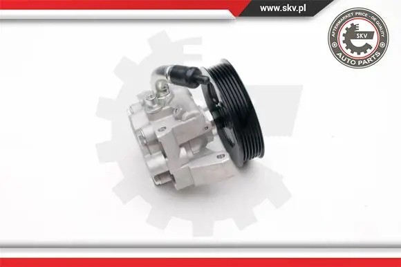 ESEN SKV 10SKV188 Насос гідропідсилювача 10skv188 esen skv