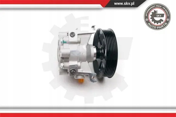 ESEN SKV 10SKV188 Насос гідропідсилювача 10skv188 esen skv