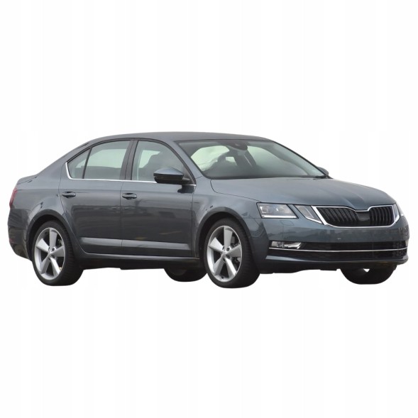 Китай E-4024 SKODA OCTAVIA III ДЗЕРКАЛО З ЕЛЕКТРОПІДІГРІВОМ 6-ПИН ПРАВЕ 13/19