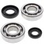 Metelli 24-1029 Підшипники колінчастого валу з герметиками all balls yamaha yz 250 01-22