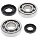 Metelli 24-1029 Підшипники колінчастого валу з герметиками all balls yamaha yz 250 01-22