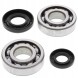 Metelli 24-1029 Підшипники колінчастого валу з герметиками all balls yamaha yz 250 01-22