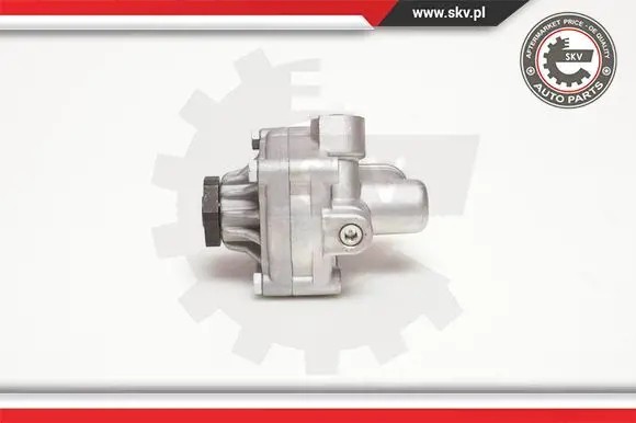 ESEN SKV 10SKV017 Насос гідропідсилювача 10скв017 esen skv