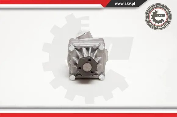 ESEN SKV 10SKV017 Насос гідропідсилювача 10скв017 esen skv