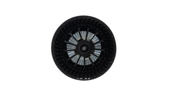 Mahle AB 263 000P 59902088_І вентилятор салону
