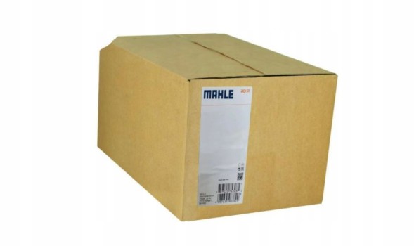 Mahle AB 263 000P 59902088_І вентилятор салону