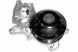Dolz DOLB231/RS7 ВОДЯНИЙ НАСОС DOLZ, B231