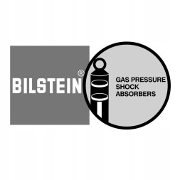 Bilstein  Bilstein 22-310194 амортизатор