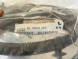 Jaguar OE T2H11711 GX6314369 Jaguar XF 2016 wiązka przewodów czujnik parkowania pdc sensor zderzaka przewód przód przednia przedni przedniego w zderzak pdc НОВИЙ ОРИГІНАЛЬНИЙ ПРОМІНЬ ШНУРА ДАТЧИКІВ БАМПЕРА JAGUAR XF 2016->