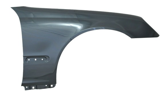 Китай 500302-189 Mercedes C-Klasse W203 Бризковик правий 189