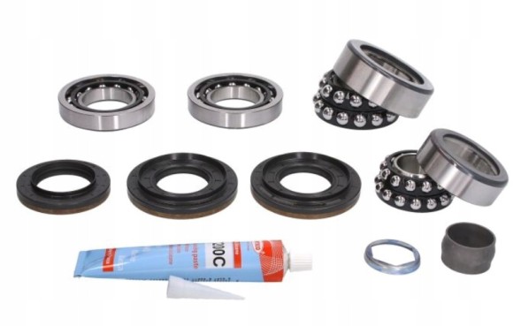 Schaeffler INA ID ПІДШИПНИКИ МОСТА ДИФРА ЗАДНЯ BMW E81 E82 E87 E88 E90 E91