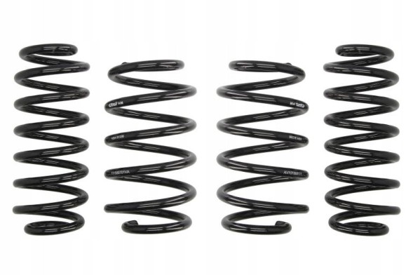 Eibach E10-85-014-05-22 Занижуюча пружина eibach e10-85-014-05-22
