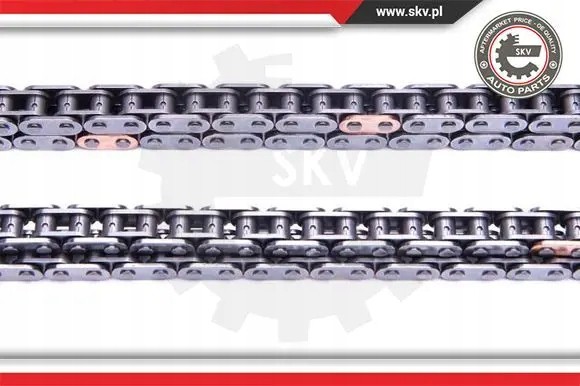ESEN SKV 21SKV225 Комплект ланцюга грм 21скв225 esen skv