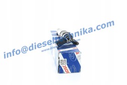 Bosch 0 445 110 634 Новий 0445110634 0445110375 166005070r 166095586r 8200912052 7485121807