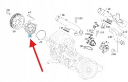 Mercedes-Benz OE ВОДЯНИЙ НАСОС MERCEDES A266200082080 | 266200082080