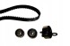 Schaeffler INA 530 0451 10 Комплект ременя ГРМ