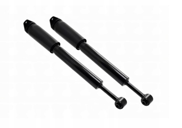 FCSTD FCS-8346657 КОМПЛЕКТ АМОРТИЗАТОРІВ ЗАДНЬОЇ ЧАСТИНИ CHRYSLER PACIFICA 04-08
