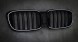 TOPGER KRG-BMW-372 X LED РЕШІТКА РАДІАТОРА BMW X3 G01 18-21 ЧОРНИЙ ГЛЯНЕЦЬ 2 ПЛАСТИНКИ ICONIC GLOW