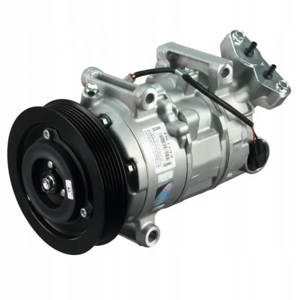 Delphi CS20481 Компресор компресора кондиціонера cs20481 delphi