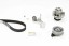 Continental CT909WP3 Комплект грм + водяний насос ct909wp3