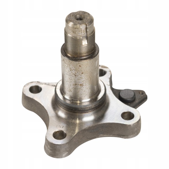 Fiat OE Поворотний кулак заднього колеса Fiat OE 1329938080