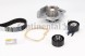 Continental CT1091WP1 Комплект грм + водяний насос ct1091wp1