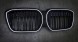 TOPGER KRG-BMW-433 x LED РЕШІТКА РАДІАТОРА BMW iX3 20-23 ЧОРНИЙ ГЛЯНЕЦЬ 2 ПЛАВНИКА ICONIC GLOW