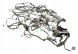 Audi OE TAB010513SP, DWP449563OE Джгут проводів, внутрішня проводка кабіни Audi A3 TAB010513SP