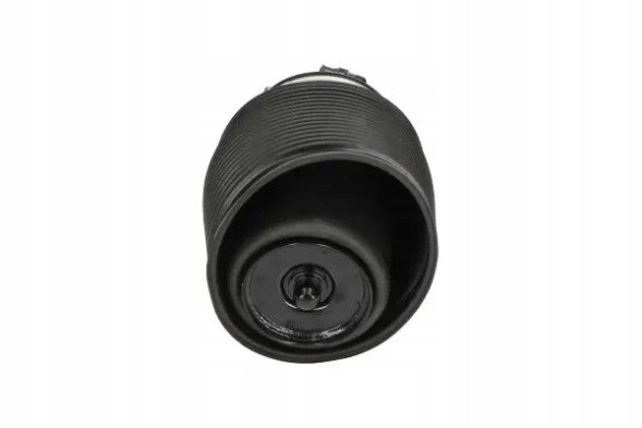 Kavo Parts SAS-1001 62 2x KAVO PARTS L+P сильфон повітряної подушки для TOYOTA LAND CRUISER J120