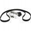 Schaeffler INA 529 4137 10 Комплект багатоклинових ременів
