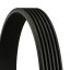 6PK1324EXTRA CONTINENTAL Ремінь поліклінової Conti