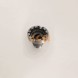 V-maxzone Part VIC-470832 Корпус диференціала