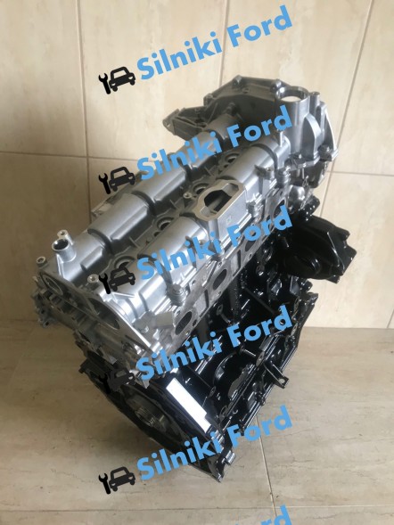 Ford OE 11111 Двигун ford transit 2.0 tdci fwd євро 6 розподільних валів