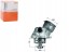 BEHTM 29 100D/RS7 BEHR ТЕРМОСТАТ BEH, ТМ 29 100D