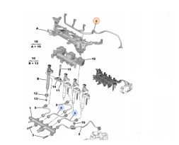 Citroen OE 9844585580 Перекази e-hdi 9674231880 toyota proace 9844585580 собаки