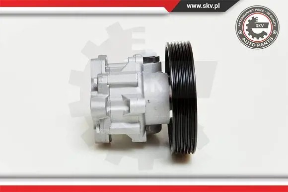 ESEN SKV 10SKV060 Насос гідропідсилювача 10скв060 esen skv