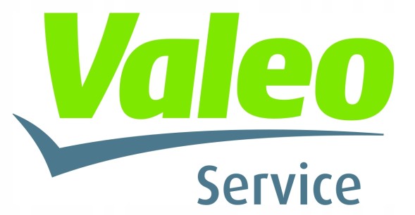 Valeo 043832 Задня комбінована ліва фара Valeo, спеціально розроблена для Seat Ibiza 3D, з лампочками