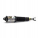 Arnott AS-289 32 2x повітряні амортизатори Arnott FRONT L+R для BENTLEY, VW CONTINENTAL