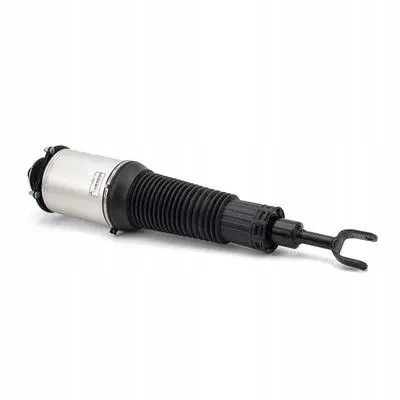 Arnott AS-289 32 2x повітряні амортизатори Arnott FRONT L+R для BENTLEY, VW CONTINENTAL