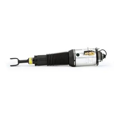 Arnott AS-289 32 2x повітряні амортизатори Arnott FRONT L+R для BENTLEY, VW CONTINENTAL