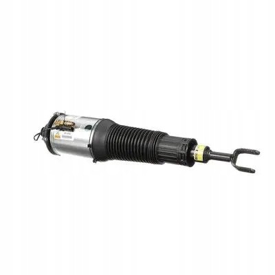 Arnott AS-289 32 2x повітряні амортизатори Arnott FRONT L+R для BENTLEY, VW CONTINENTAL
