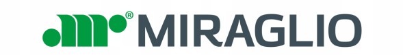 Lift-Tek LT60182 РУЧКА ПЕРЕДНІХ ДВЕРЕЙ ЛІВА 60/182 MIRAGLIO