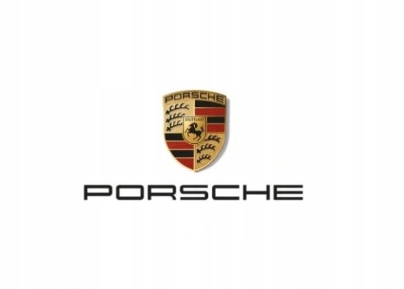 Porsche OE 971809957C UŻYWANE PORSCHE PANAMERA 971 КОЛІСНА АРКА ПЕРЕДНЯ ЛІВА 971809957C