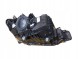 Hella 1EJ 354 983-011 Прожектор