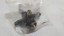 Land Rover OE LR004557 PG Термостат масляного радіатора двигуна Land Rover Defender 2.4 D LR004557 НОВИЙ